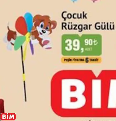 ÇOCUK RÜZGAR GÜLÜ